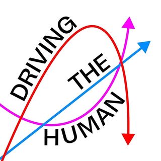 Driving The Human Festival